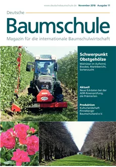 Deutsche Baumschule - Ausgabe 2018/11