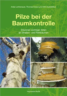 Pilze bei der Baumkontrolle Pilze bei der Baumkontrolle