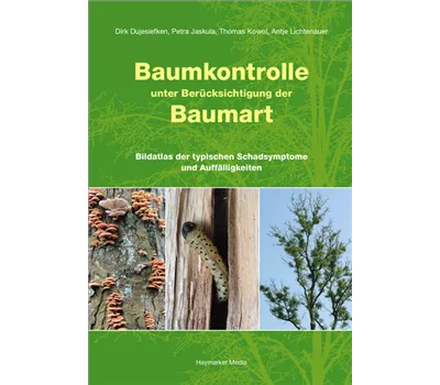 Baumkontrolle unter Berücksichtigung der Baumart