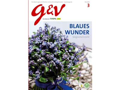 gestalten & verkaufen - Ausgabe 2024/03