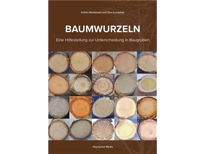 Baumwurzeln