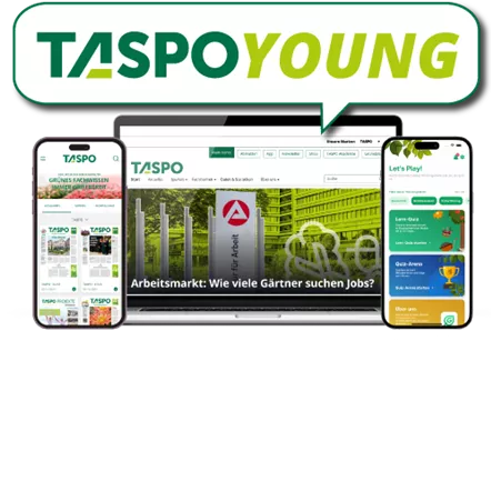 Header-TASPOYOung.png.png