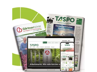 TASPO 360° inkl. Gärtnerbörse – Ihr Abo für den Zierpflanzenbau