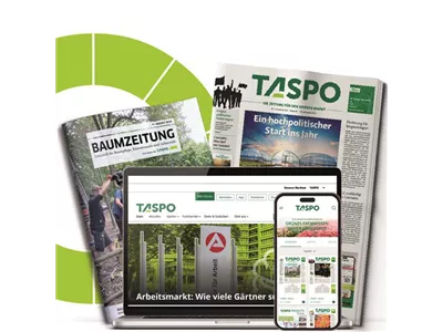 TASPO 360° inkl. BAUMZEITUNG – Ihr Fachwissen für Baumpflege & Arboristik