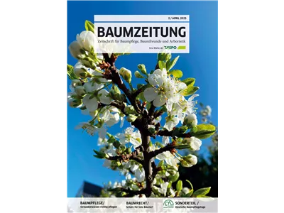 BAUMZEITUNG - Ausgabe 2025/02