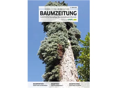 BAUMZEITUNG - Ausgabe 2025/03