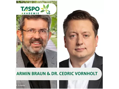 Verkehrssicherungspflicht bei Bäumen – Rechtliche Grundlagen für die Praxis